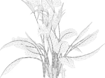 Bird of Paradise Flower - 03 - 3D model