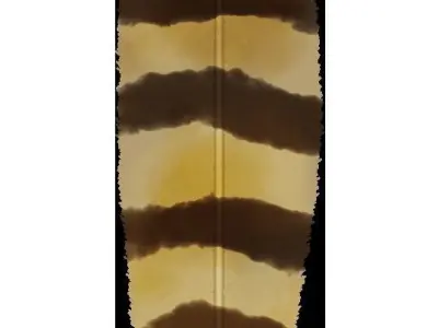 Feathers Hair Cards preset Free low-poly 3D model