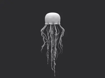 Jellyfish rigged and animated  Low-poly 3D model