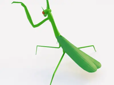 Mantis 3d model praying Low-poly 3D model