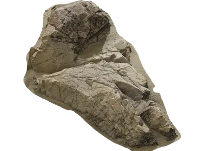  Small Wave Beach Rock Model 