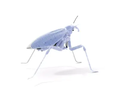 Futuristic Metallic Insect model pack Low-poly 3D model