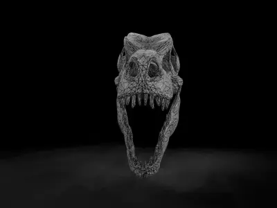 Trex  low poly game ready  Skull Low-poly 3D model
