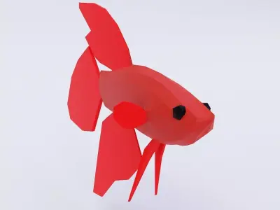 Red betta fish low poly 3d model  Low-poly 3D model