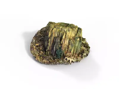 Forest Tree Stump 4K -Part 4- Free low-poly 3D model