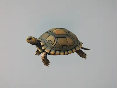 TURTLE 3D model