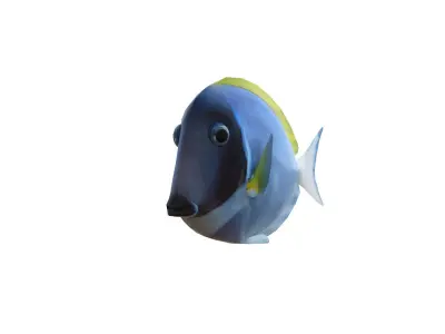 Low-Poly Acanthurus Leucosternon Animated Low-poly 3D model