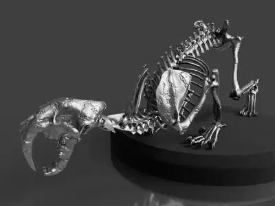 Silver Sabretooth Skeleton 3D model