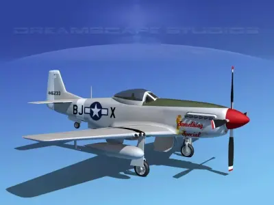 P-51D Mustang Something Special 3D model