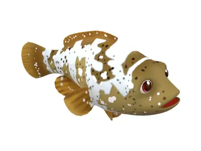 Malabar Grouper Animated Fish  Low-poly 3D model