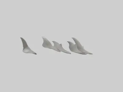 Shark Fins Model 3D model