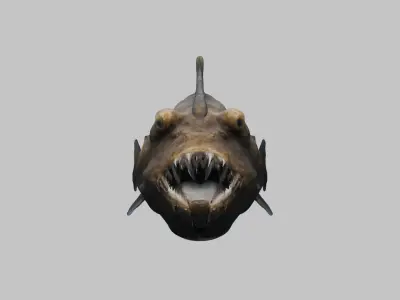 Humpback anglerfish Deep-sea fish Abyss Abyssal Low-poly 3D model