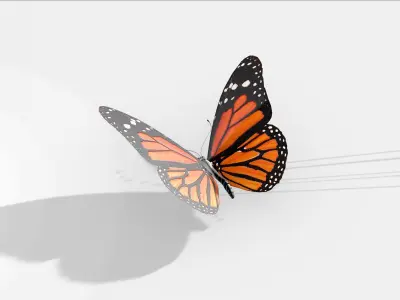 Butterfly orange insect Papillon 3D model