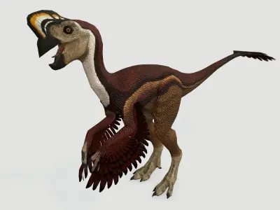 Oviraptor Low-poly 3D model