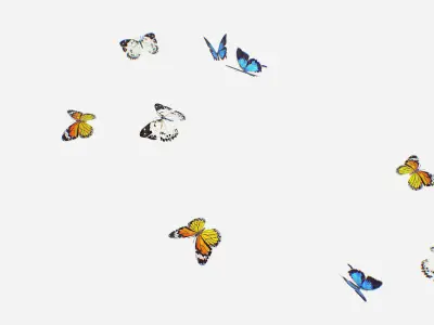 Animated Low Poly Art Several Butterflie Insect Low-poly 3D model