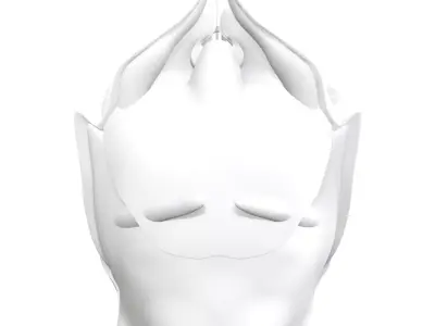 Warrior Valkyrie Angel helmet  3D model