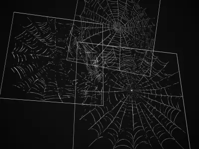Spider Webs Pack Three Low-poly 3D model