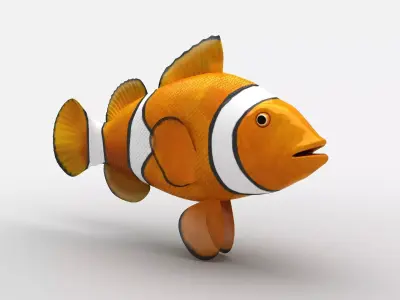 Clownfish Amphiprioninae Nemo Low-poly 3D model