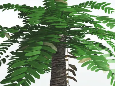 EVERYPlant Pseudoctnis Cycad LowPoly 2 --12 Models-- Low-poly 3D model