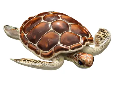 Sea turtle 3D model