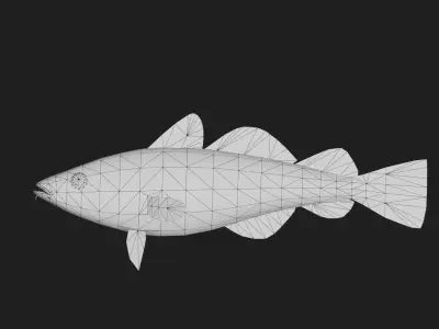 Greenlandcod Low-poly 3D model