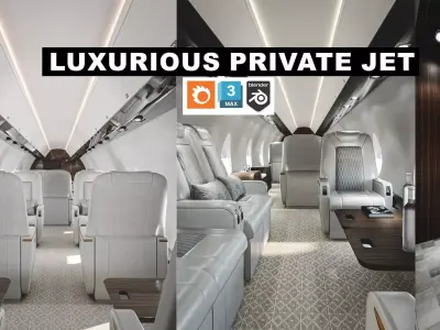Luxury Private Jet Interior 3D model