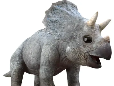 Triceratops Baby 3D Rigged model Low-poly 3D model