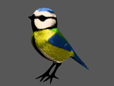 Winter Blue Tit 3D model