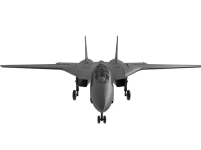 F14 tomcat Low-poly 3D model