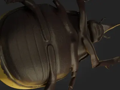 Beetle horned reptile with long tail Low-poly 3D model