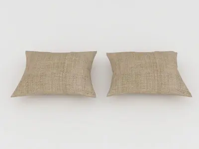 Pillows pair of jute Free 3D model
