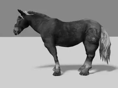 Black Wild Horse fully rigged Low-poly 3D model