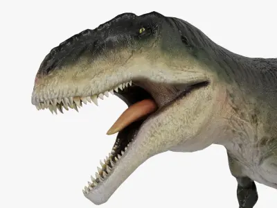 Giganotosarus Low-poly 3D model