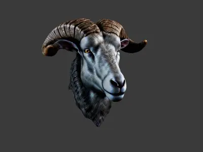 Deer Animal Head Low-poly 3D model