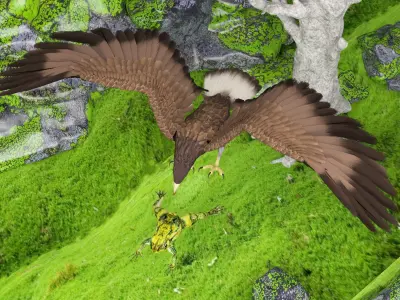 Eagle Attack 2 - 4K 3D model
