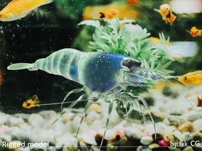 Low Poly Shrimp 3D model  Rigged Low-poly 3D model