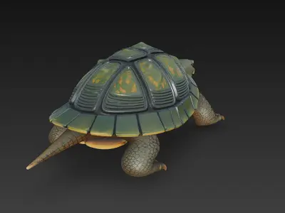 Turtle Realistic 3D Model - Low Poly Realistic Low-poly 3D model