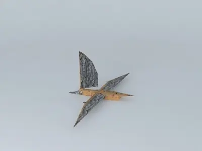 Young Pterosaur Free 3D model
