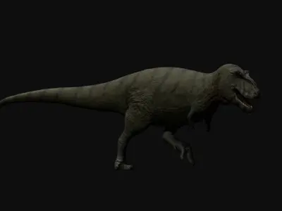 Trex Tyrannosaurus Realistic 3D Model Low-poly 3D model