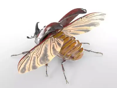 Rhino Beetle insect Low-poly 3D model