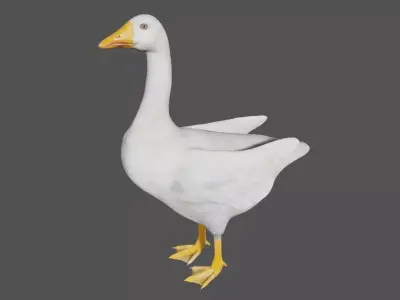 Canadian Goose  3D model