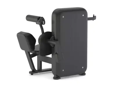 Technogym Selectorized Artis Lower Back 3D model