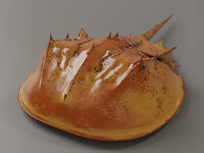 Horseshoe Crab Red Low-poly 3D model