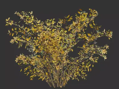 Simple Autumn Bush Game Ready Free 3D model