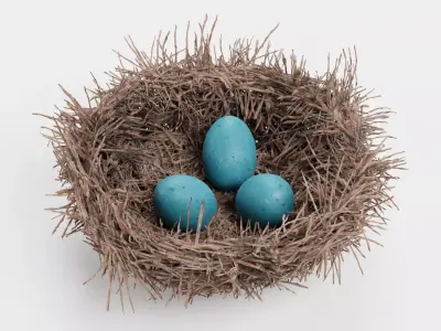 -Nest with Eggs- 3D model