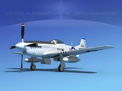 F-51D Mustang USAF 2 3D model