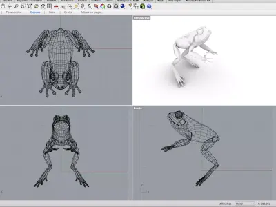 Frog Grenouille Crapaud 3D model