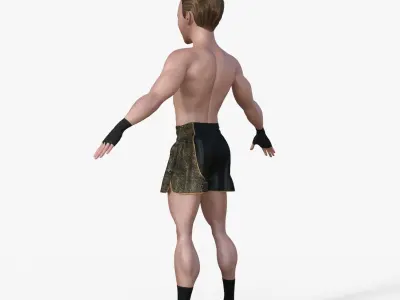 Cartoon Fighter Man Rigged 3D model