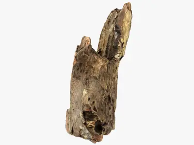 Tree Trunk Piece 16 3D model
