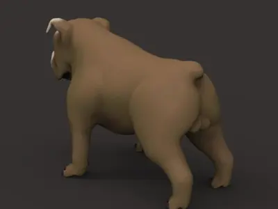 Buldog bulldog Free low-poly 3D model